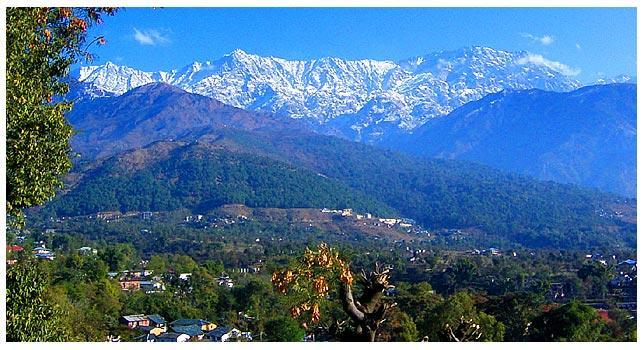 Angel'S Inn Resort Dharamshala Ngoại thất bức ảnh